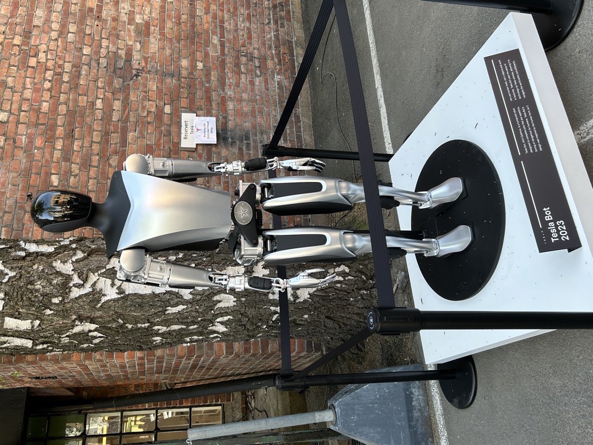 Tesla Bot Optimus, robot umanoide in piedi